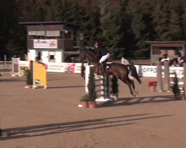 Reitturnier Ranshofen - Braunau am Inn 2025