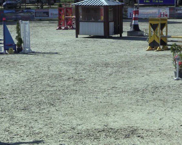 Reitturnier Westergellersen 2025