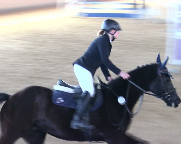 Reitturnier Marktredwitz 2025