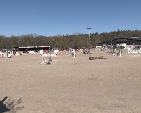 Reitturnier Olfen 2025