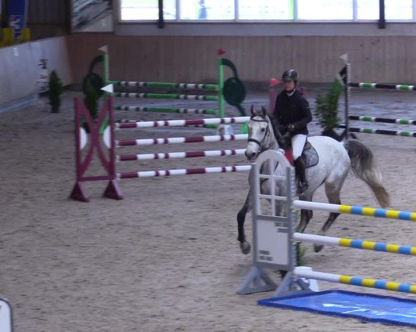 Reitturnier Niebüll 2025