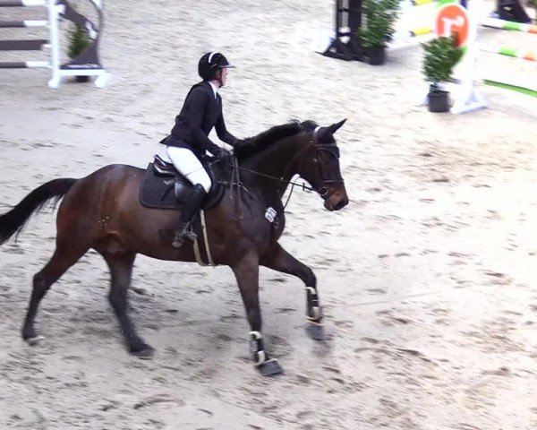 Reitturnier Niebüll 2025