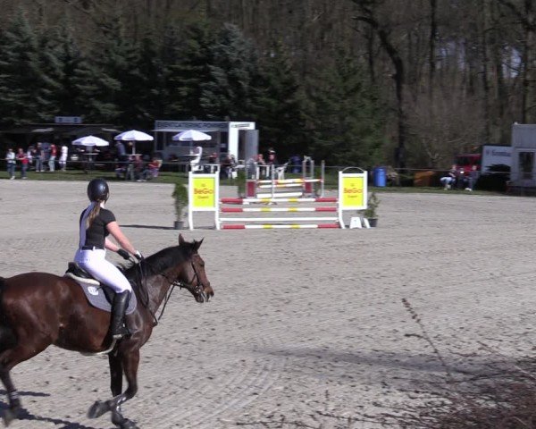 Reitturnier Pietzpuhl 2025