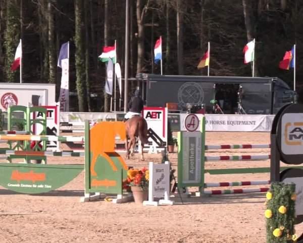 Reitturnier Ranshofen - Braunau am Inn 2025