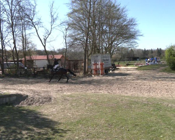 Reitturnier Olfen 2025