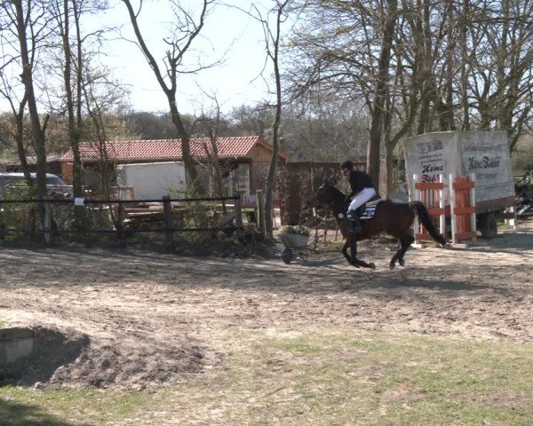 Reitturnier Olfen 2025