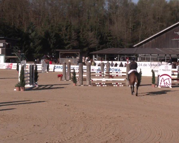 Reitturnier Ranshofen - Braunau am Inn 2025
