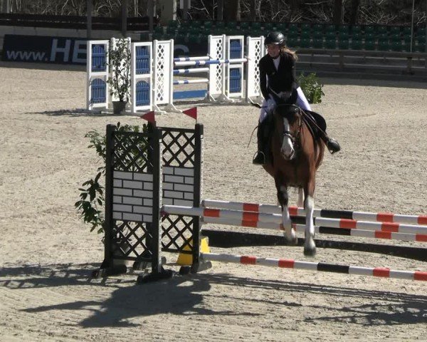 Reitturnier Balve-Wocklum 2025