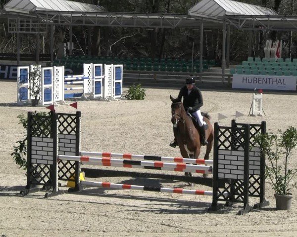 Reitturnier Balve-Wocklum 2025