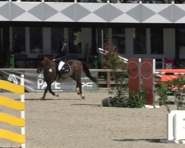Reitturnier Balve-Wocklum 2025