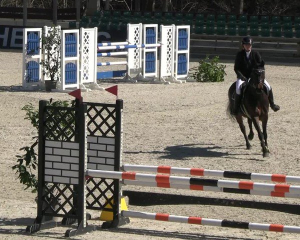 Reitturnier Balve-Wocklum 2025