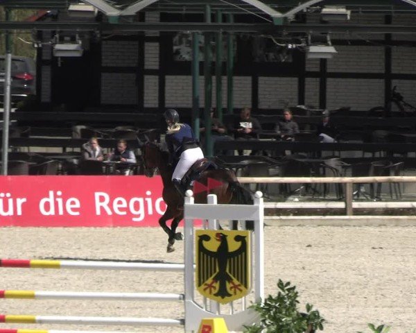 Reitturnier Balve-Wocklum 2025