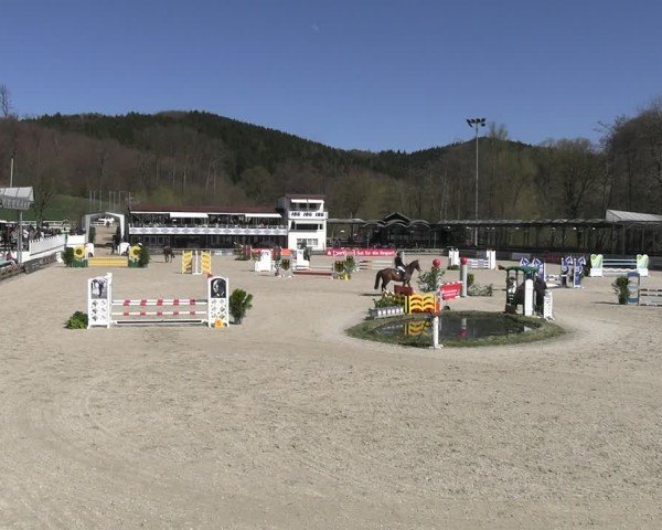Reitturnier Balve-Wocklum 2025