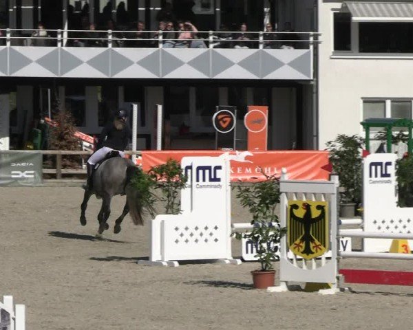 Reitturnier Balve-Wocklum 2025