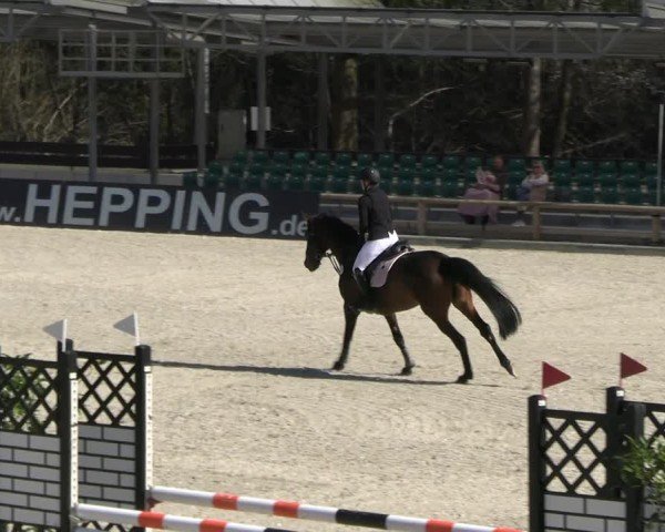 Reitturnier Balve-Wocklum 2025