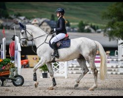 jumper Ziro Blue ZSH 2 (Swiss Warmblood, 2016, from Zirocco Blue)