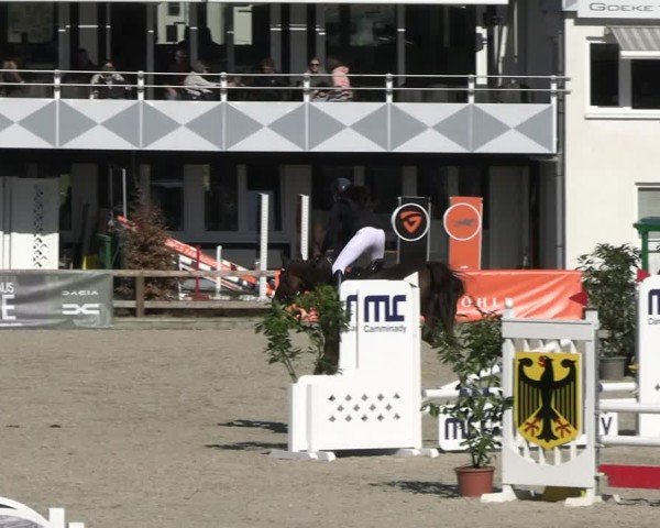 Reitturnier Balve-Wocklum 2025