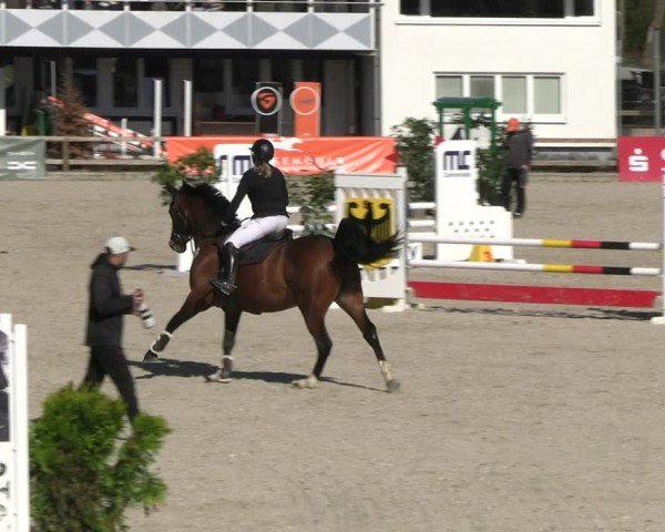 Reitturnier Balve-Wocklum 2025
