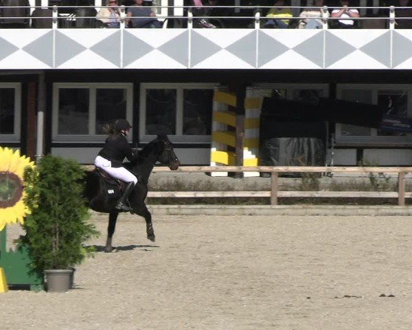 Reitturnier Balve-Wocklum 2025