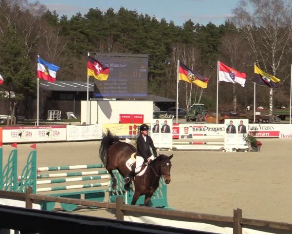Reitturnier Westergellersen 2025