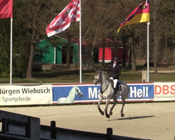 Reitturnier Westergellersen 2025