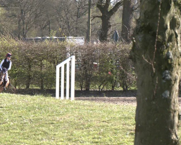 Reitturnier Olfen 2025