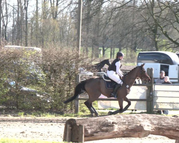 Reitturnier Olfen 2025