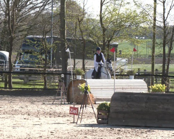Reitturnier Olfen 2025