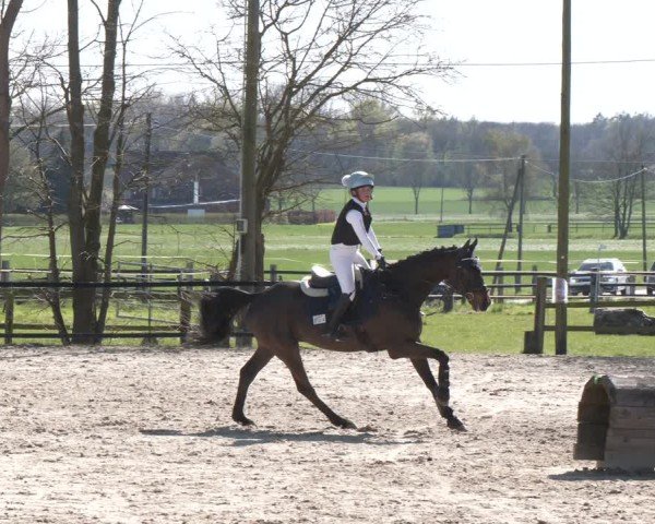 Reitturnier Olfen 2025