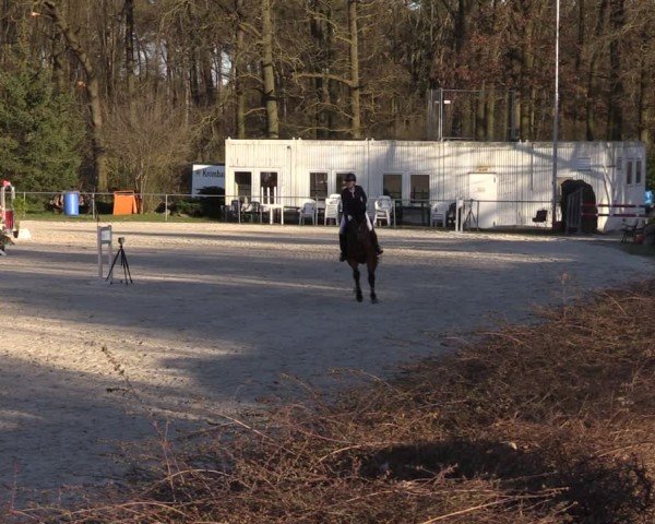 Reitturnier Pietzpuhl 2025
