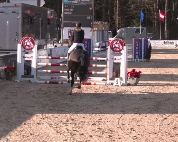 Reitturnier Ranshofen - Braunau am Inn 2025