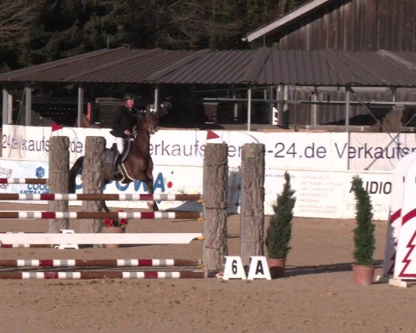 Reitturnier Ranshofen - Braunau am Inn 2025