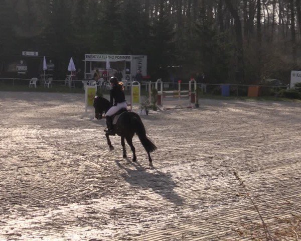 Reitturnier Pietzpuhl 2025