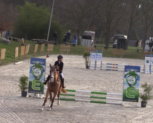 Reitturnier Pietzpuhl 2025