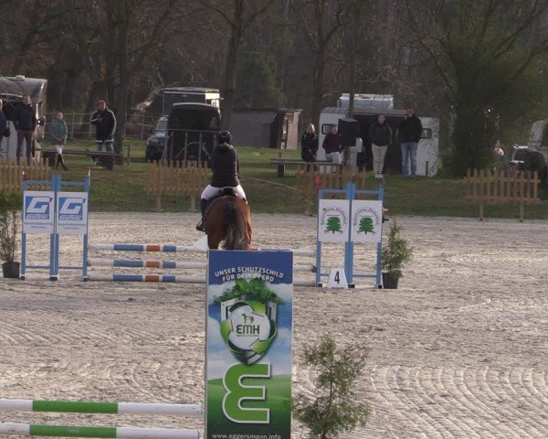 Reitturnier Pietzpuhl 2025