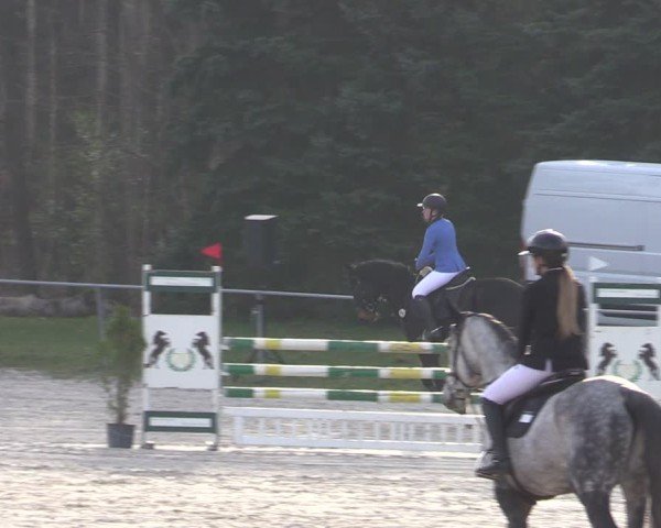 Reitturnier Pietzpuhl 2025