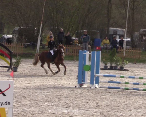 Reitturnier Pietzpuhl 2025