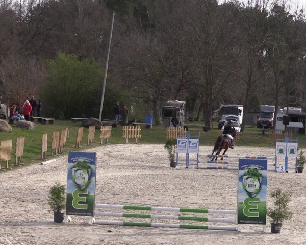 Reitturnier Pietzpuhl 2025