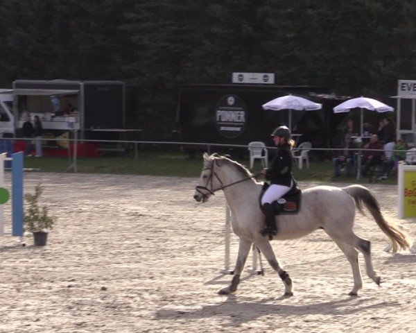 Reitturnier Pietzpuhl 2025