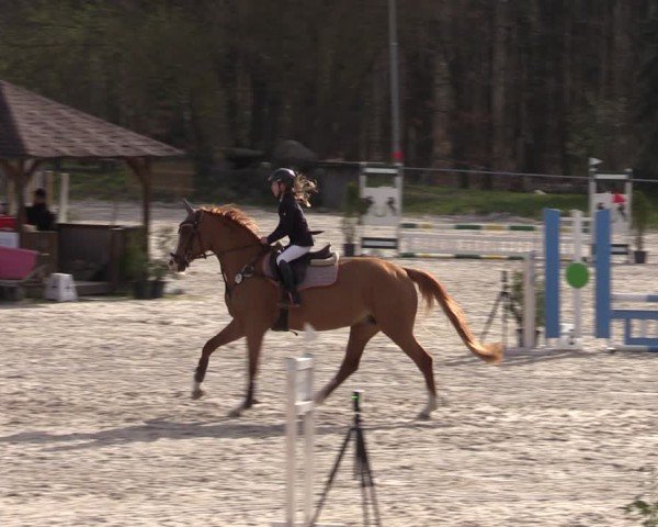 Reitturnier Pietzpuhl 2025
