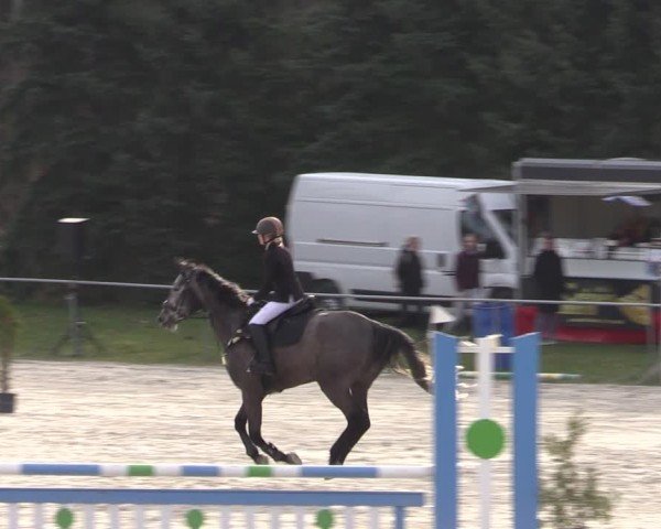 Reitturnier Pietzpuhl 2025