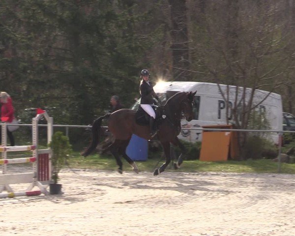 Reitturnier Pietzpuhl 2025