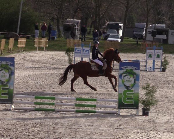Reitturnier Pietzpuhl 2025