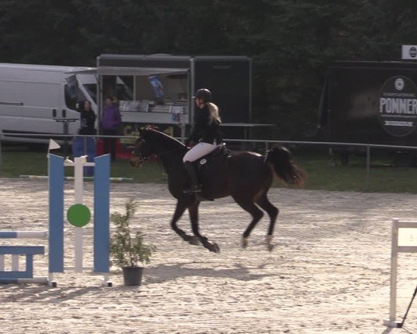 Reitturnier Pietzpuhl 2025