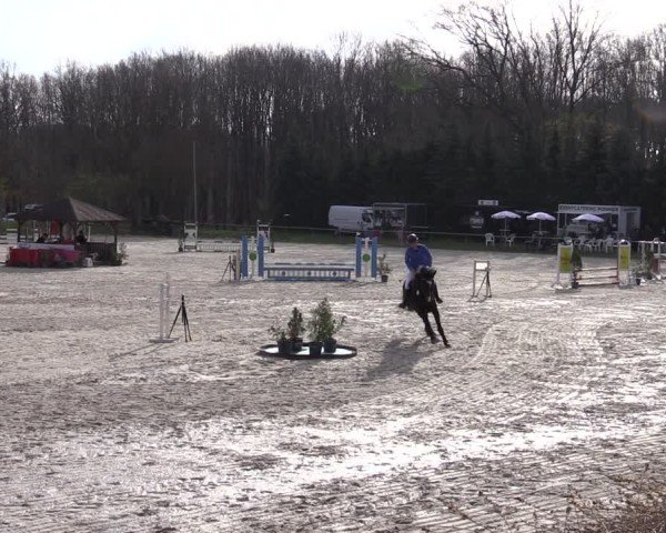 Reitturnier Pietzpuhl 2025