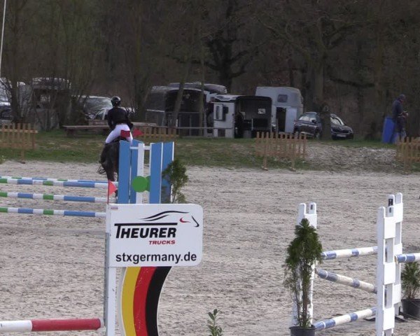 Reitturnier Pietzpuhl 2025