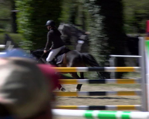 Reitturnier Bottrop 2025