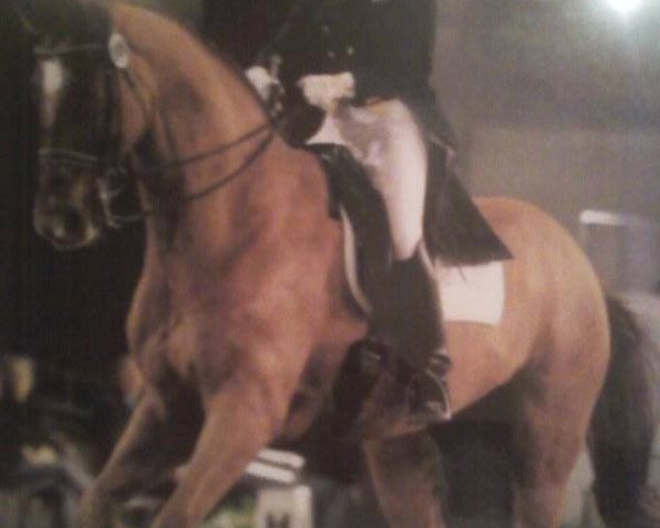 dressage horse Laurenzo 7 (Hanoverian, 1997, from Longchamp)