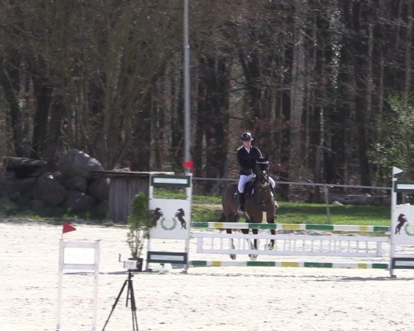 Reitturnier Pietzpuhl 2025