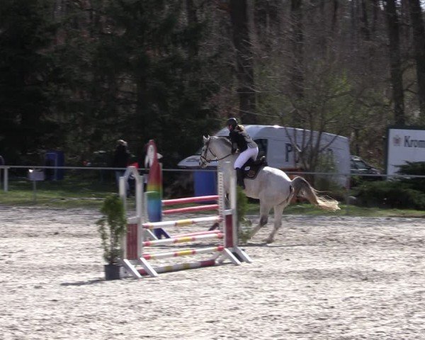 Reitturnier Pietzpuhl 2025